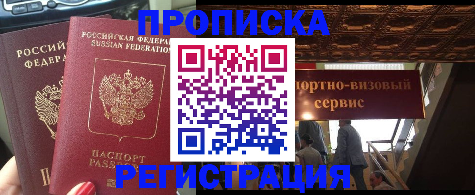 прописка гарантия в Стародубе